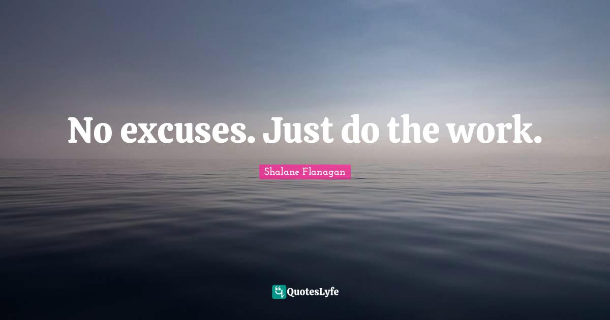 Excuses Quotes: "No excuses. Just do the work."