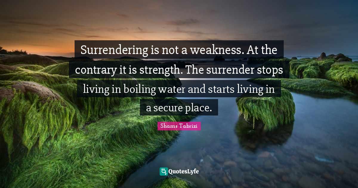 Best Surrender Quotes with images to share and download for free at