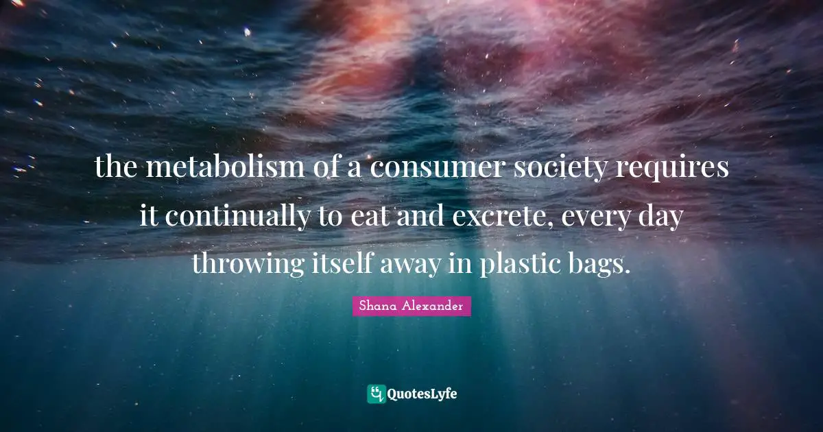 the metabolism of a consumer society requires it continually to eat and excrete, every day throwing itself away in plastic bags.