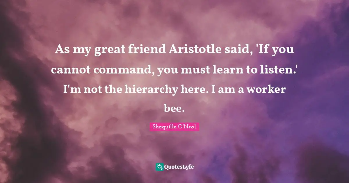 As my great friend Aristotle said, 'If you cannot command, you must learn to listen.' I'm not the hierarchy here. I am a worker bee.