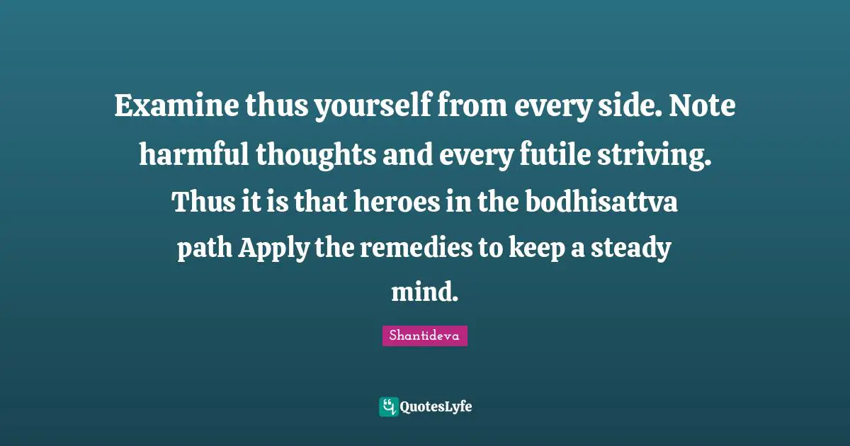 Examine thus yourself from every side. Note harmful thoughts and every futile striving. Thus it is that heroes in the bodhisattva path Apply the remedies to keep a steady mind.