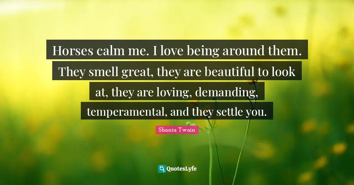 Horses calm me. I love being around them. They smell great, they are beautiful to look at, they are loving, demanding, temperamental, and they settle you.