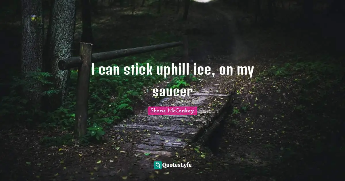 Sticks Quotes: "I can stick uphill ice, on my saucer"