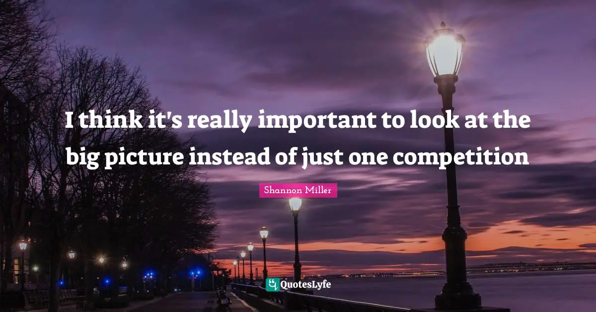Shannon Miller Quotes: "I think it's really important to look at the big picture instead of just one competition"