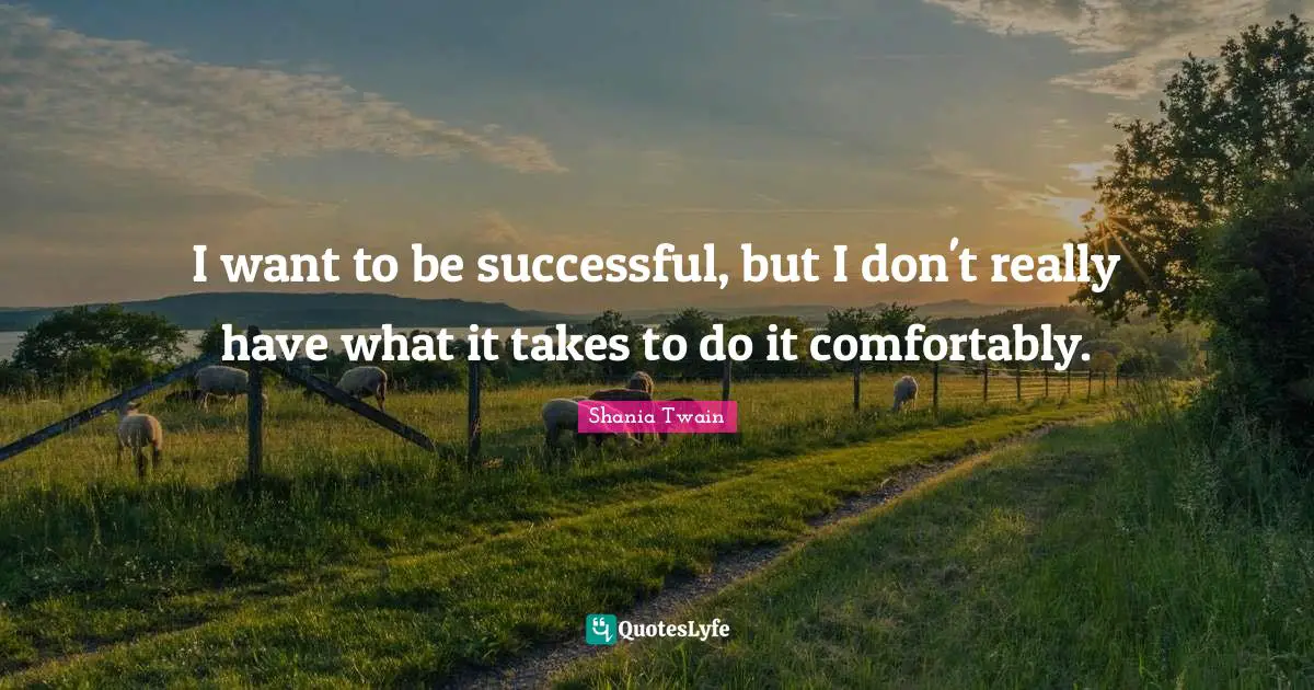 I want to be successful, but I don't really have what it takes to do it comfortably.