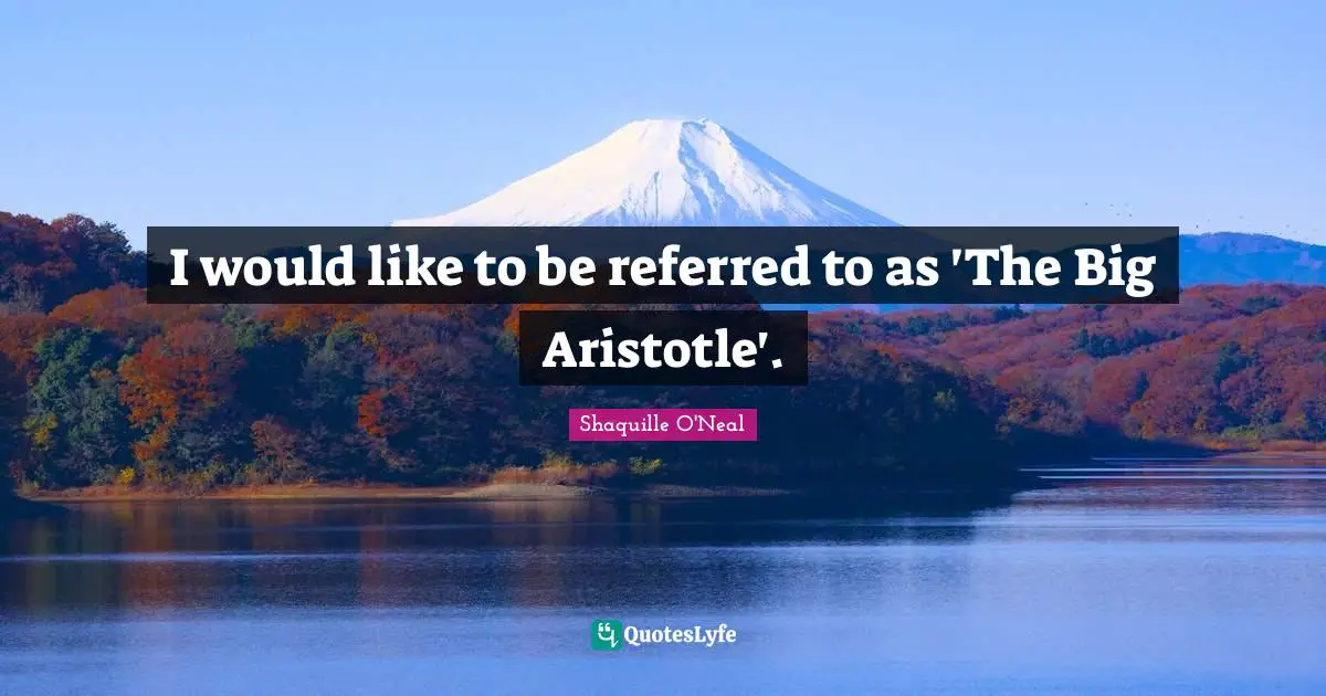 I would like to be referred to as 'The Big Aristotle'.