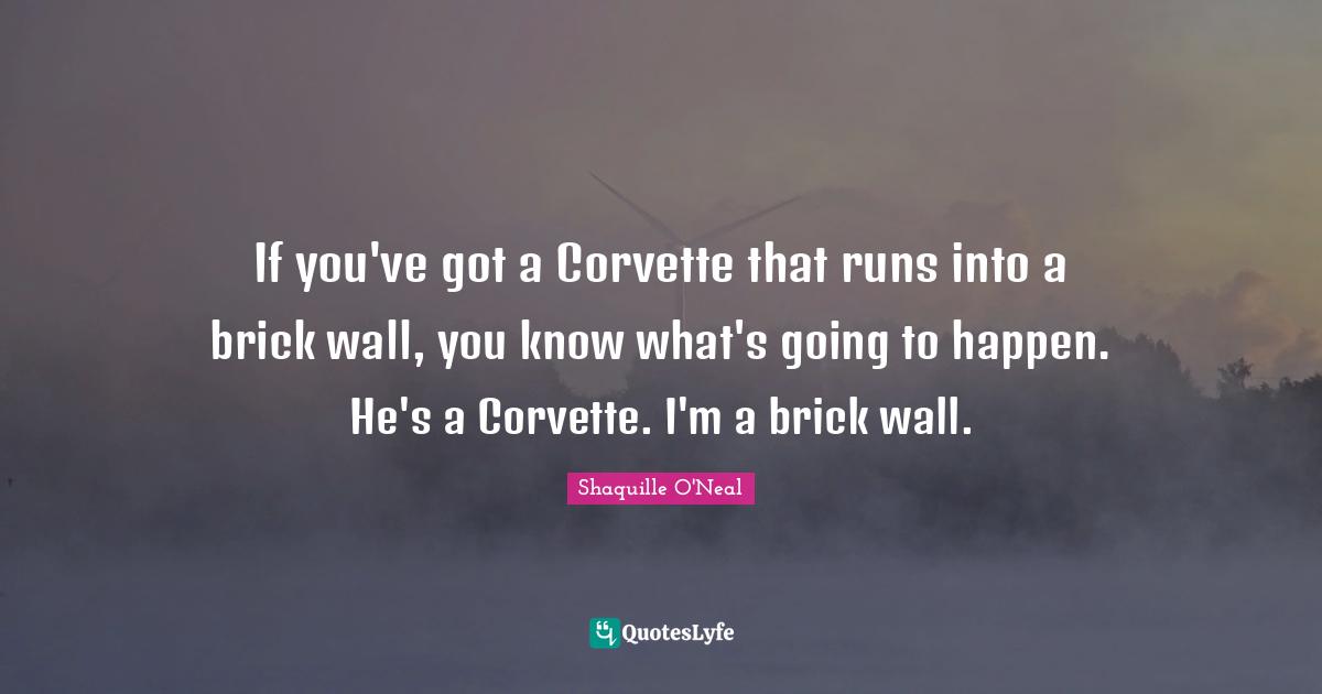 If you've got a Corvette that runs into a brick wall, you know what's going to happen. He's a Corvette. I'm a brick wall.