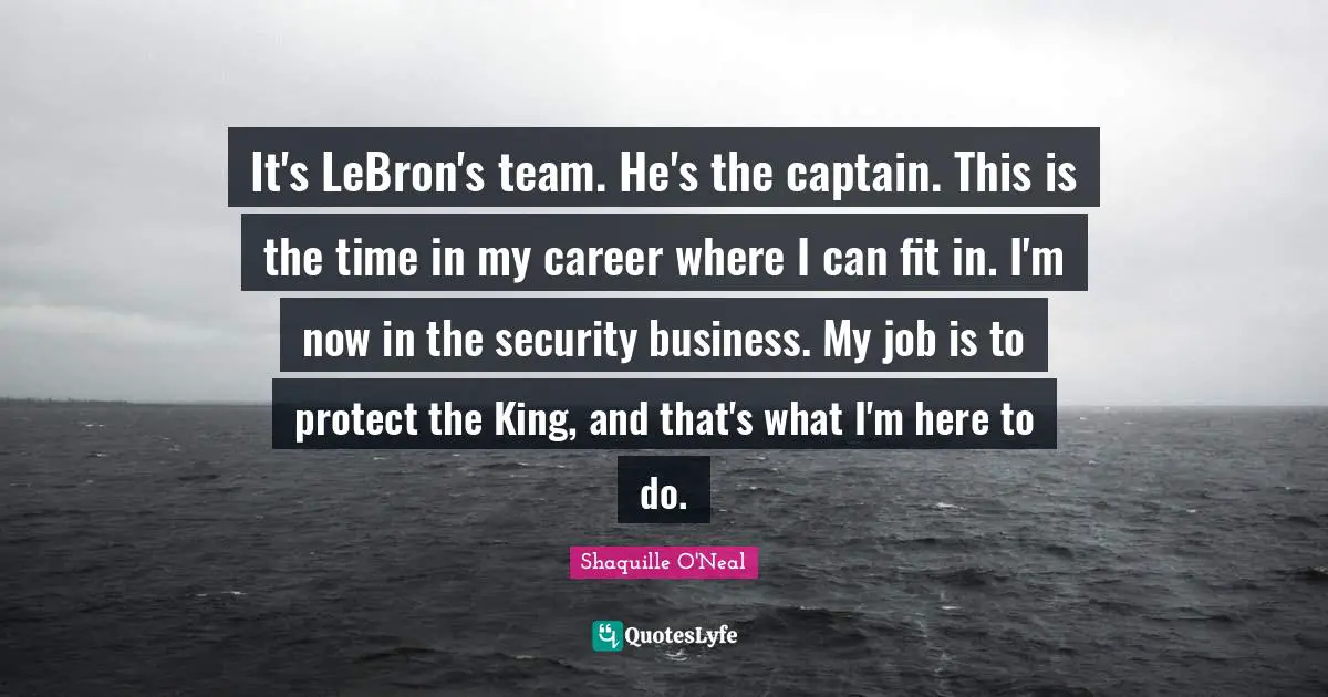 It's LeBron's team. He's the captain. This is the time in my career where I can fit in. I'm now in the security business. My job is to protect the King, and that's what I'm here to do.