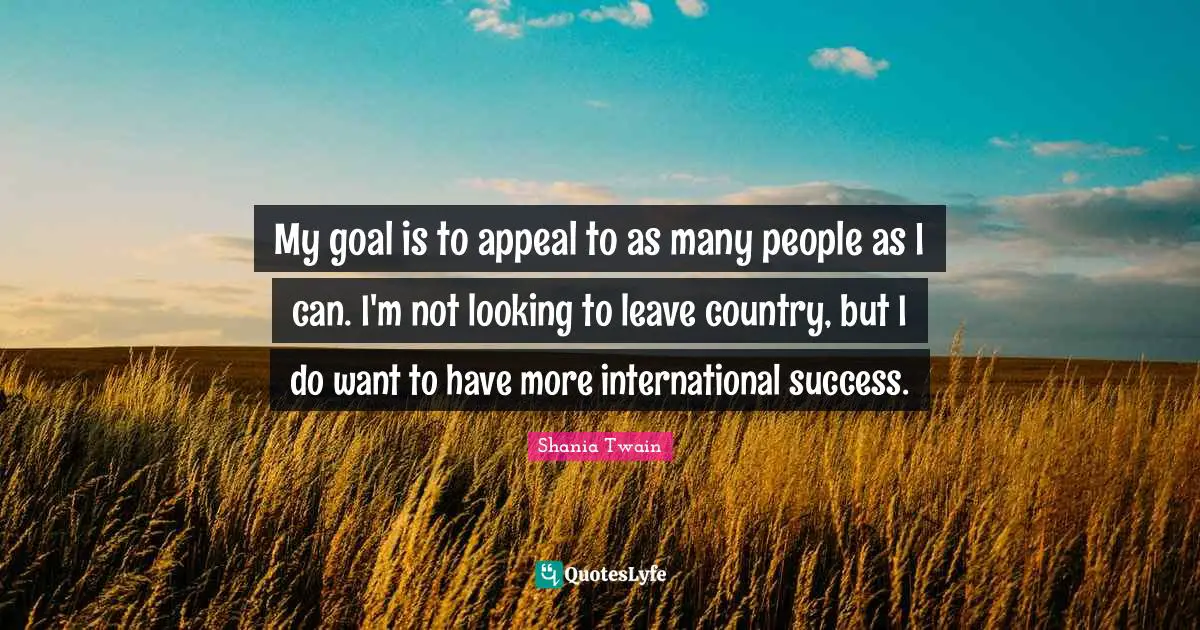 My goal is to appeal to as many people as I can. I'm not looking to leave country, but I do want to have more international success.