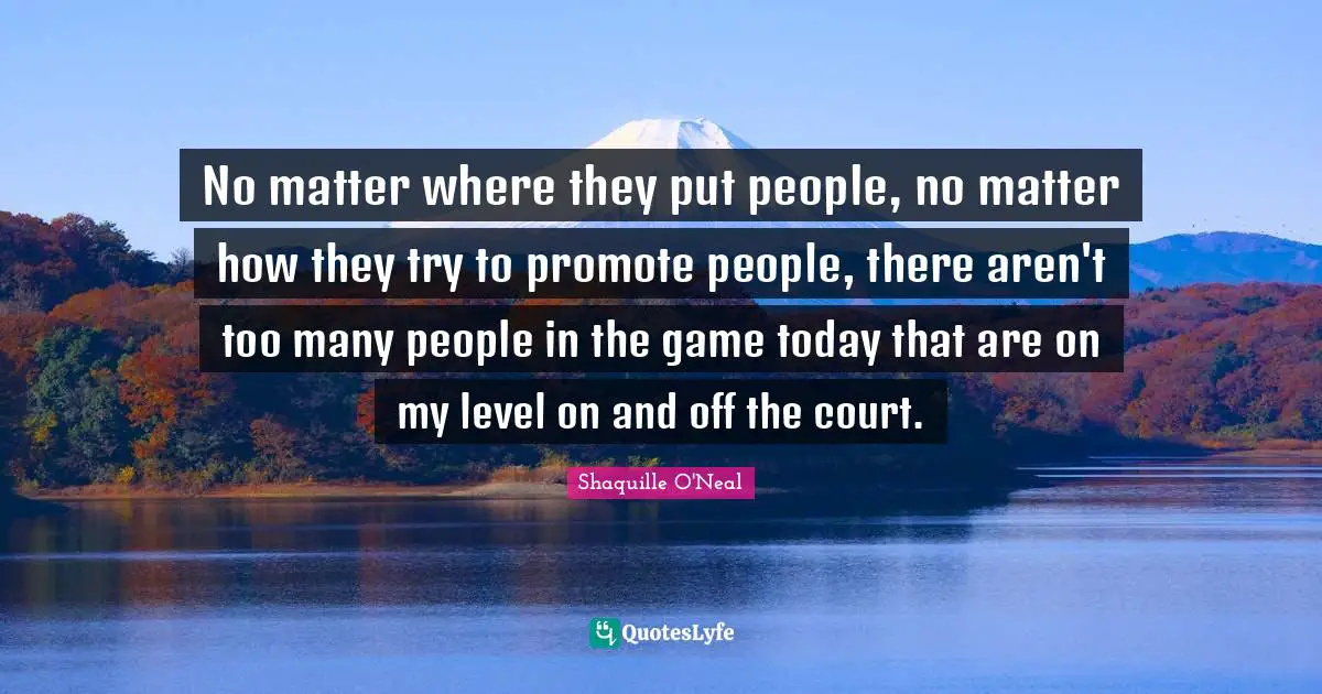 No matter where they put people, no matter how they try to promote people, there aren't too many people in the game today that are on my level on and off the court.