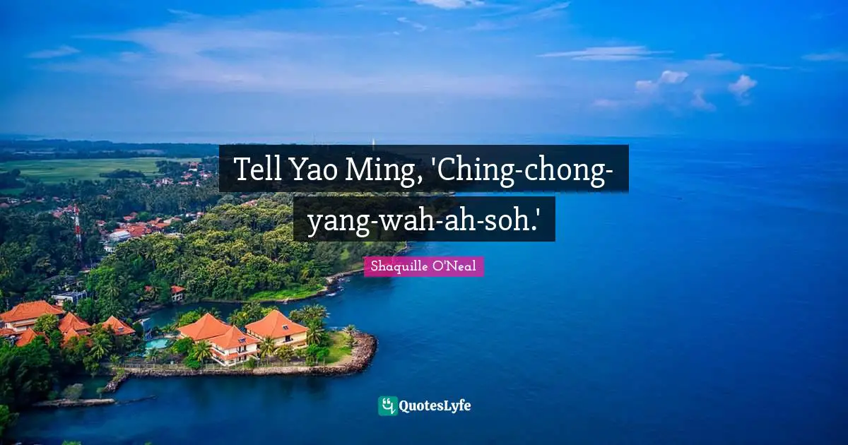 Racist Quotes: "Tell Yao Ming, 'Ching-chong-yang-wah-ah-soh.'"