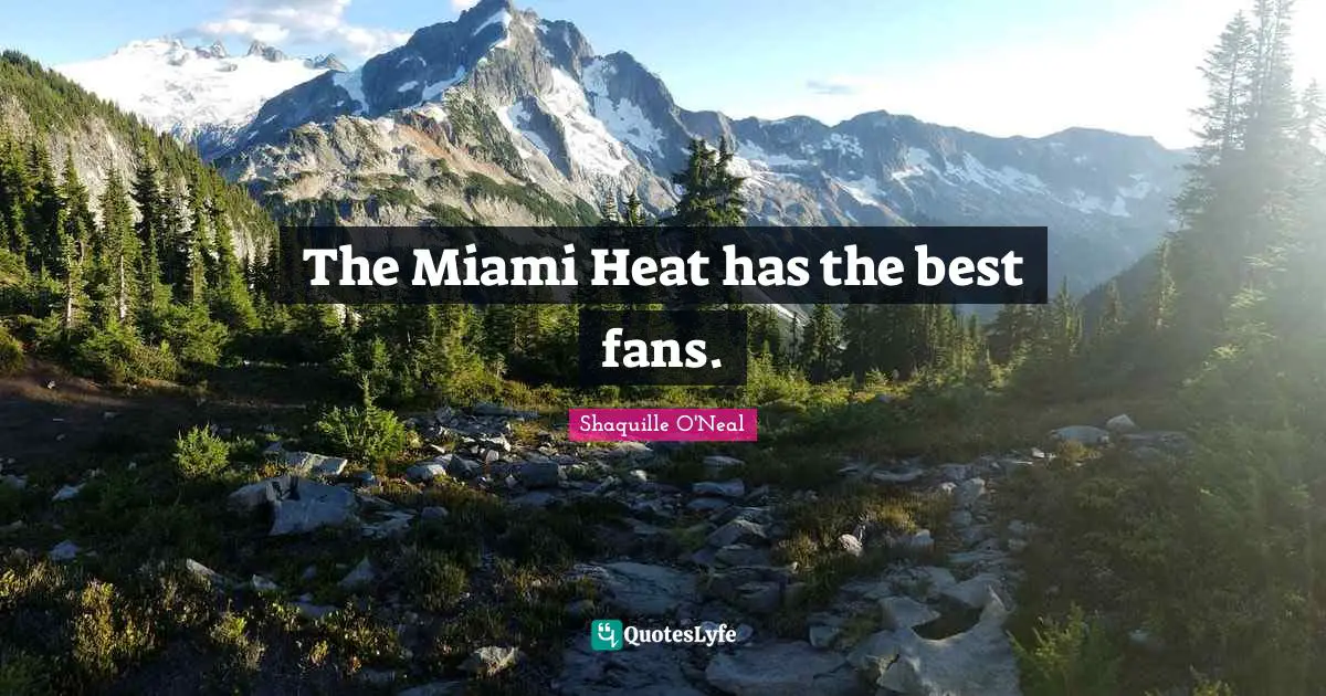 The Miami Heat has the best fans.