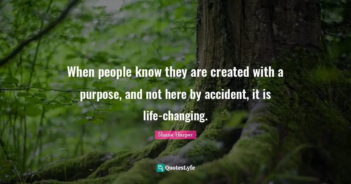 Shane Harper Quotes: "When people know they are created with a purpose, and not here by accident, it is life-changing."