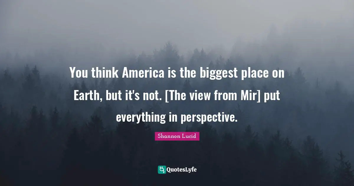 You think America is the biggest place on Earth, but it's not. [The view from Mir] put everything in perspective.