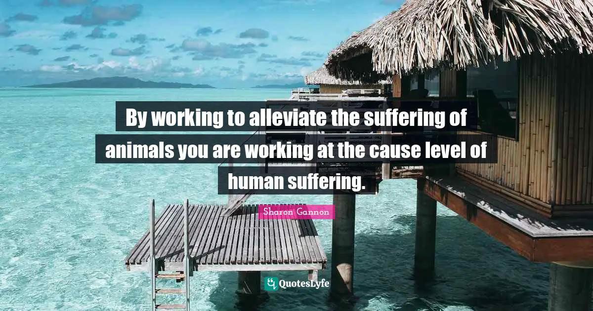 By working to alleviate the suffering of animals you are working at the cause level of human suffering.