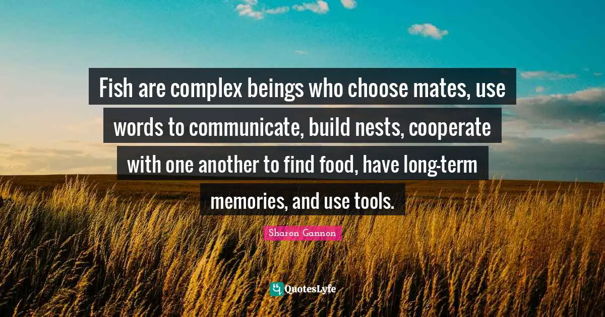 Fish are complex beings who choose mates, use words to communicate, build nests, cooperate with one another to find food, have long-term memories, and use tools.