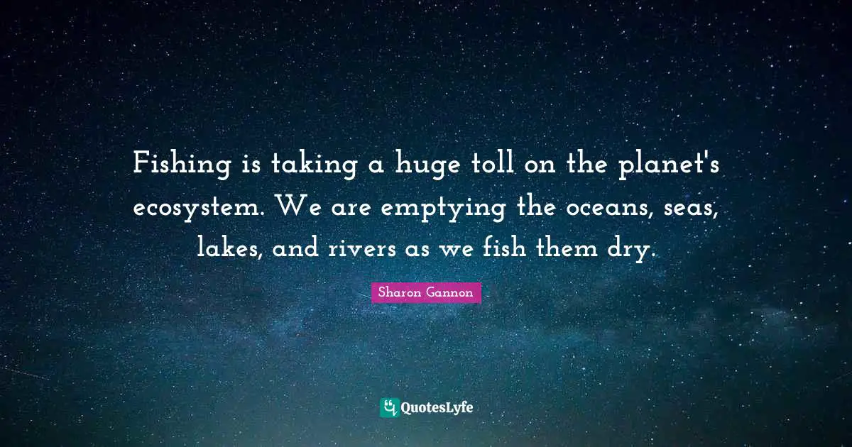 Fishing is taking a huge toll on the planet's ecosystem. We are emptying the oceans, seas, lakes, and rivers as we fish them dry.
