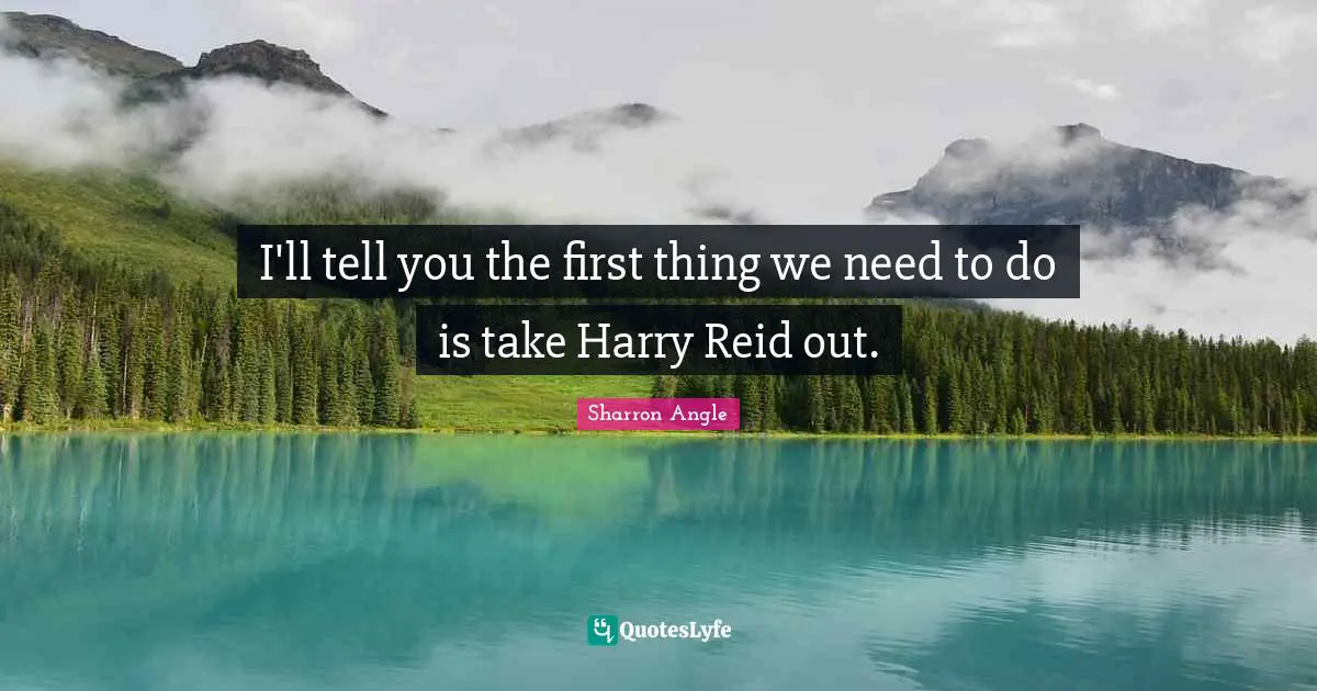 I'll tell you the first thing we need to do is take Harry Reid out.