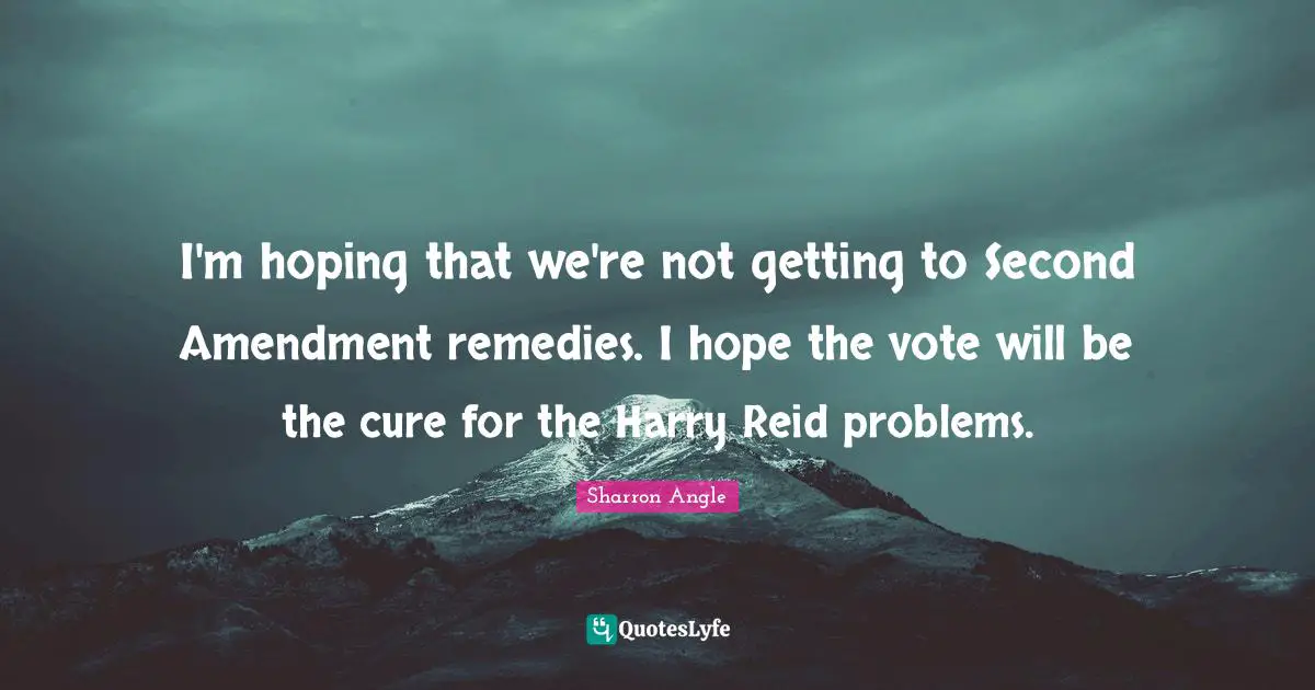 I'm hoping that we're not getting to Second Amendment remedies. I hope the vote will be the cure for the Harry Reid problems.