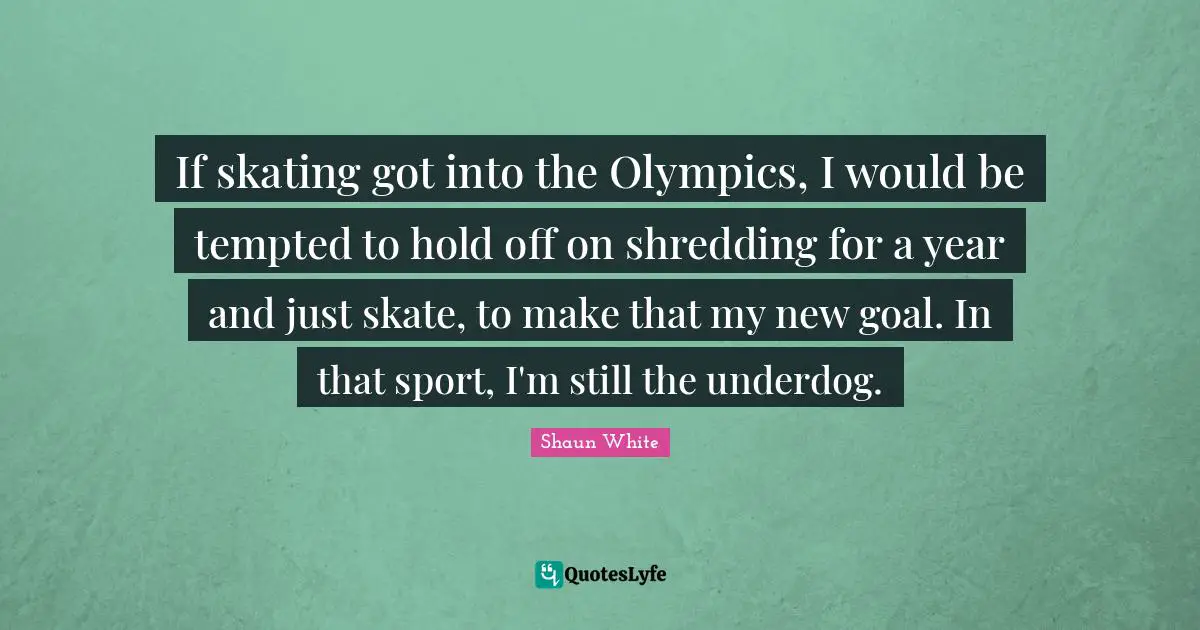 If skating got into the Olympics, I would be tempted to hold off on shredding for a year and just skate, to make that my new goal. In that sport, I'm still the underdog.