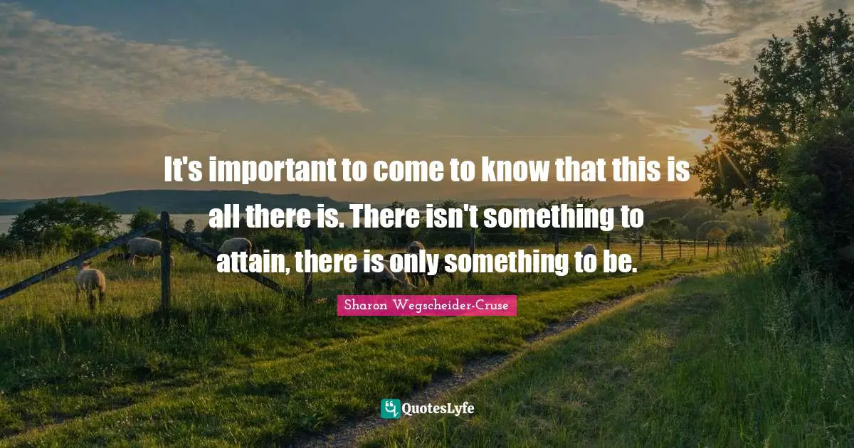 It's important to come to know that this is all there is. There isn't something to attain, there is only something to be.
