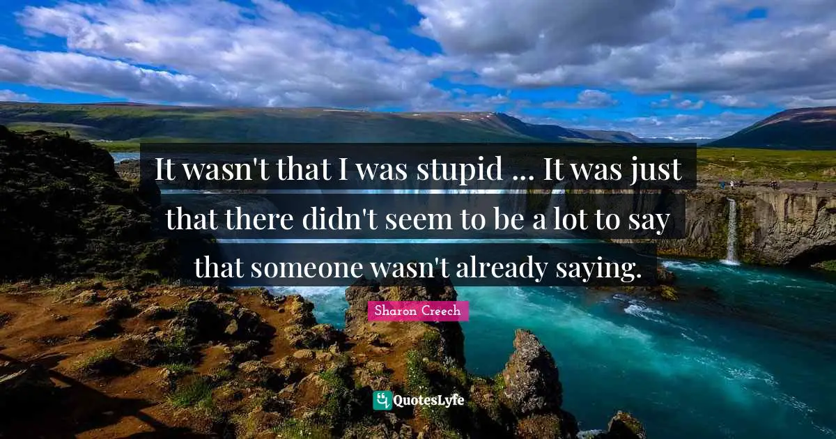 It wasn't that I was stupid ... It was just that there didn't seem to be a lot to say that someone wasn't already saying.