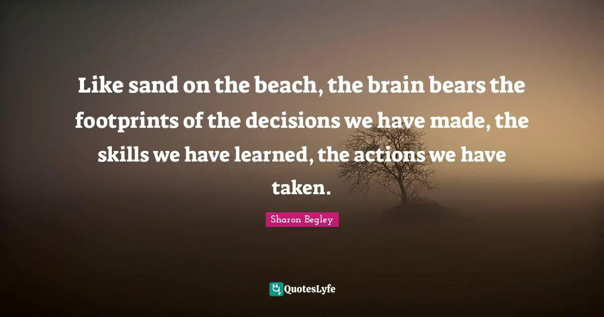 Like sand on the beach, the brain bears the footprints of the decisions we have made, the skills we have learned, the actions we have taken.