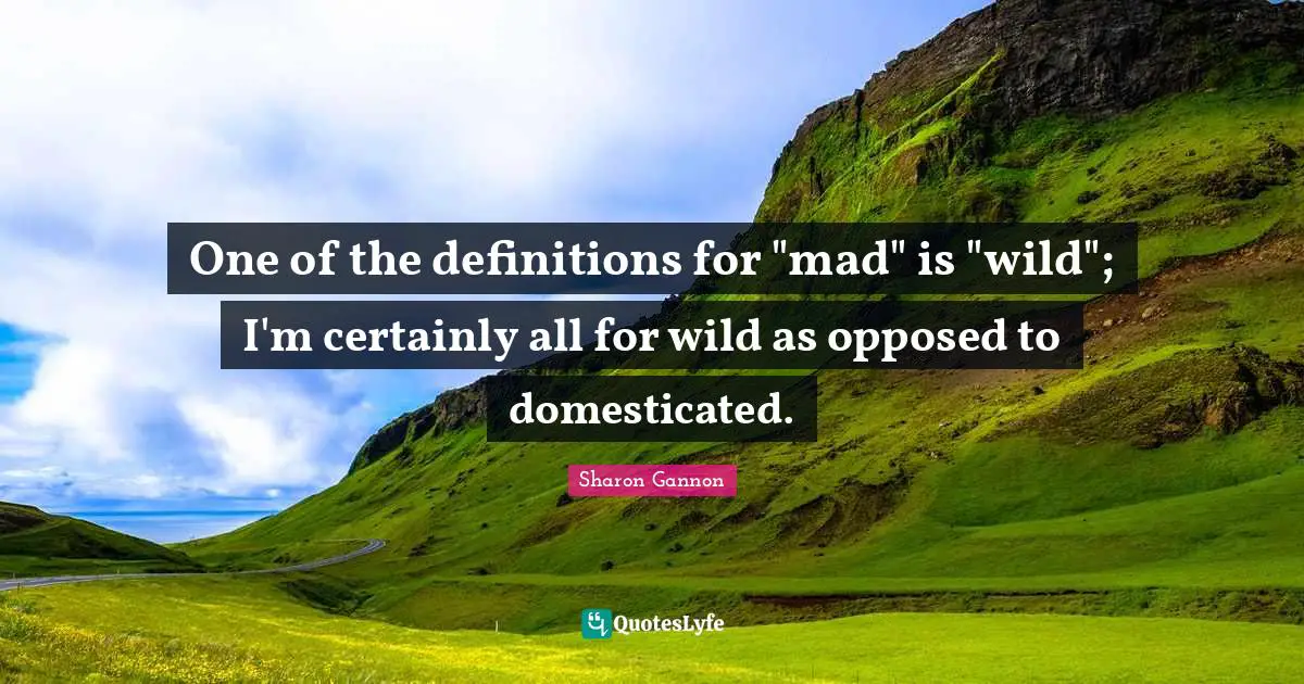 One of the definitions for "mad" is "wild"; I'm certainly all for wild as opposed to domesticated.