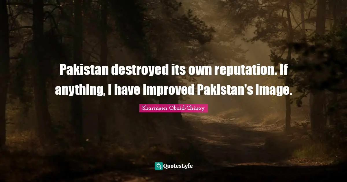 Pakistan destroyed its own reputation. If anything, I have improved Pakistan's image.
