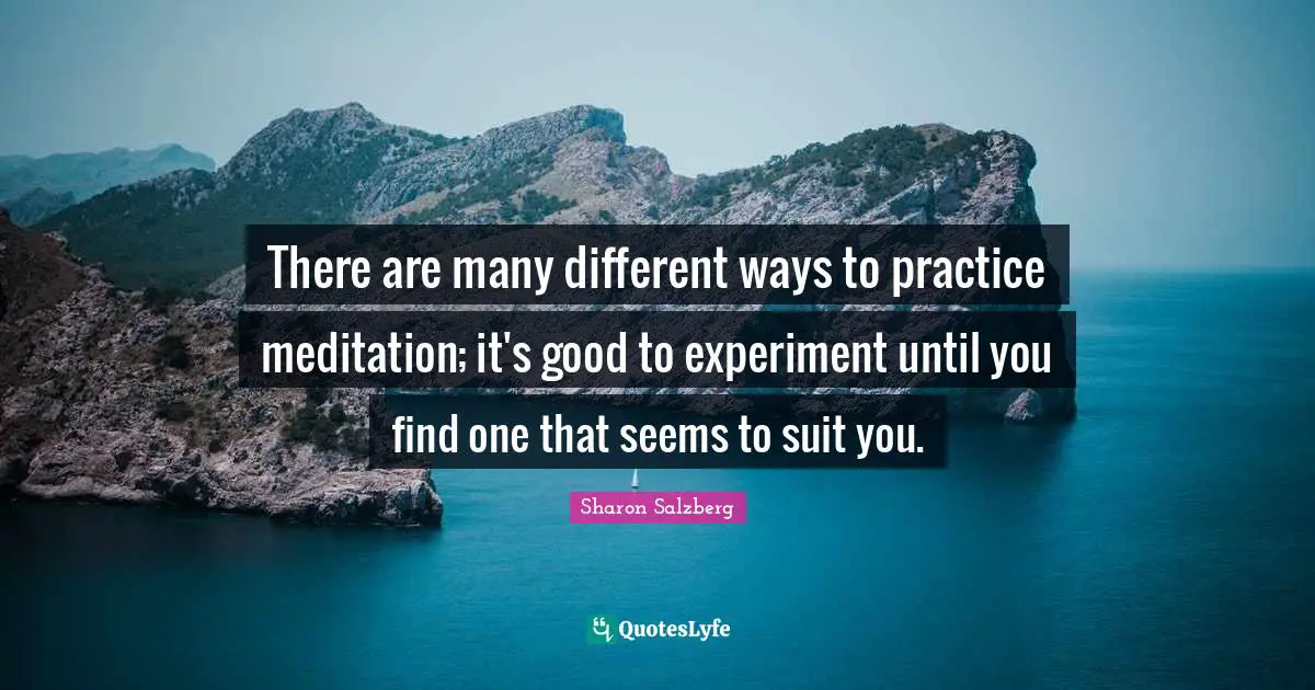 Suits You Quotes: "There are many different ways to practice meditation; it's good to experiment until you find one that seems to suit you."