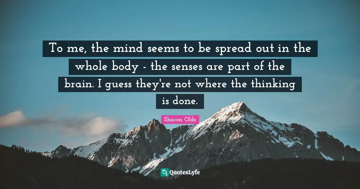 To me, the mind seems to be spread out in the whole body - the senses are part of the brain. I guess they're not where the thinking is done.