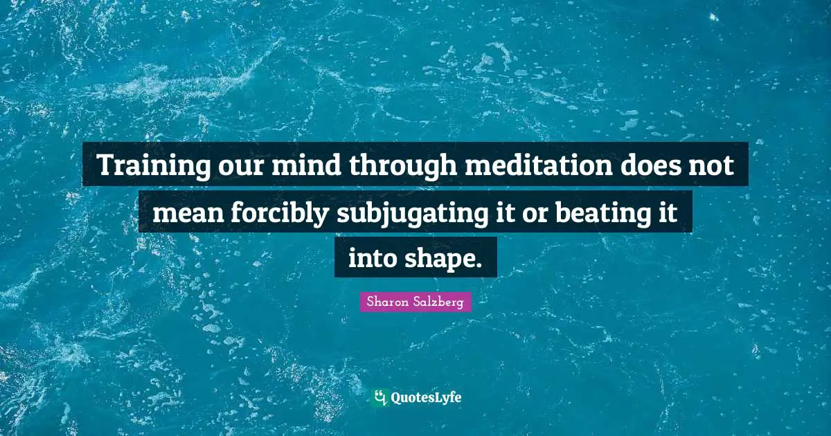 Training our mind through meditation does not mean forcibly subjugating it or beating it into shape.