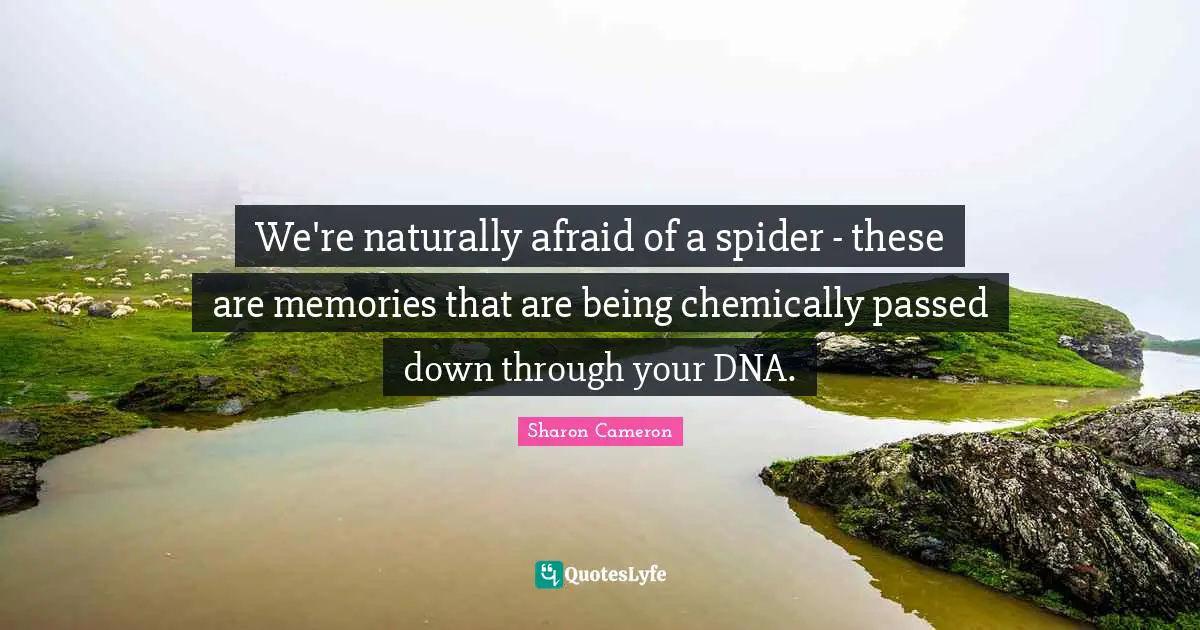 We're naturally afraid of a spider - these are memories that are being chemically passed down through your DNA.