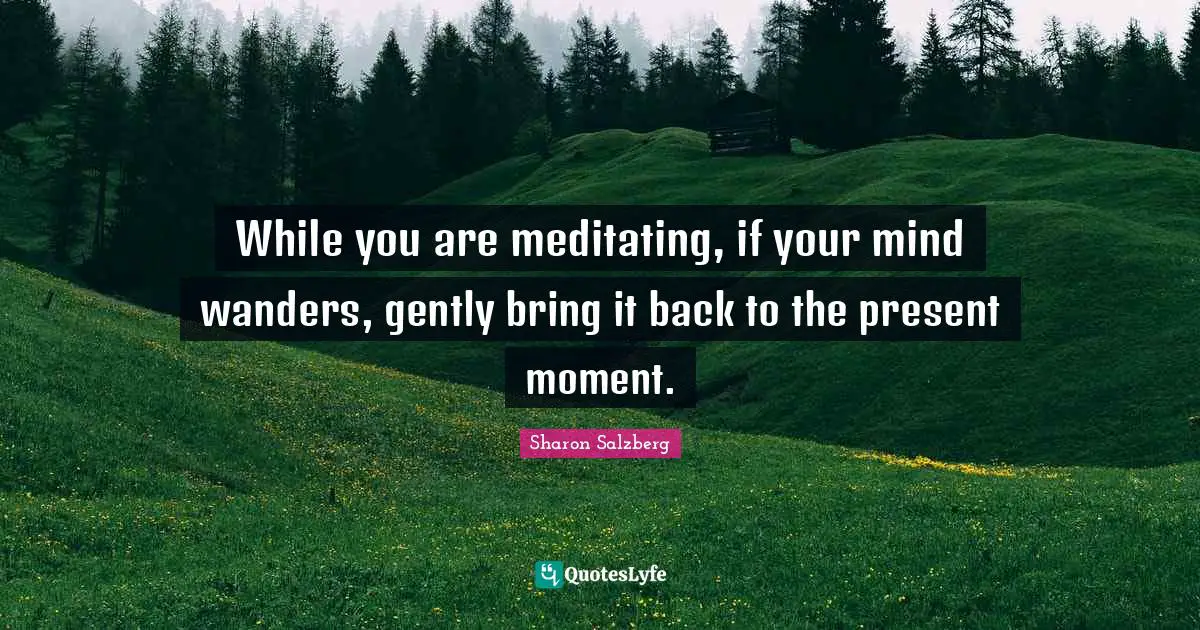 While you are meditating, if your mind wanders, gently bring it back to the present moment.