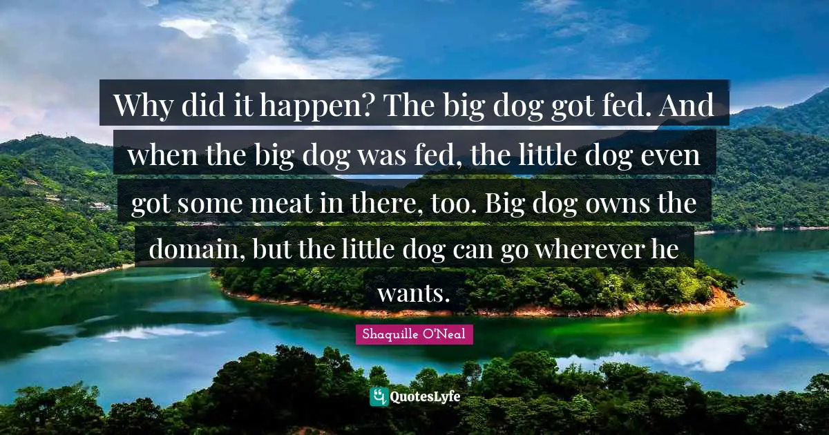 Why did it happen? The big dog got fed. And when the big dog was fed, the little dog even got some meat in there, too. Big dog owns the domain, but the little dog can go wherever he wants.