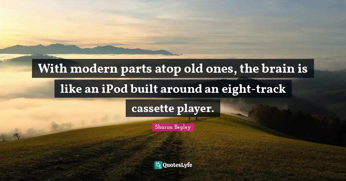 With modern parts atop old ones, the brain is like an iPod built around an eight-track cassette player.