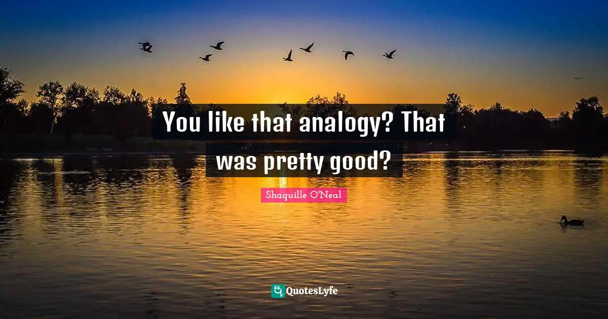 Analogies Quotes: "You like that analogy? That was pretty good?"