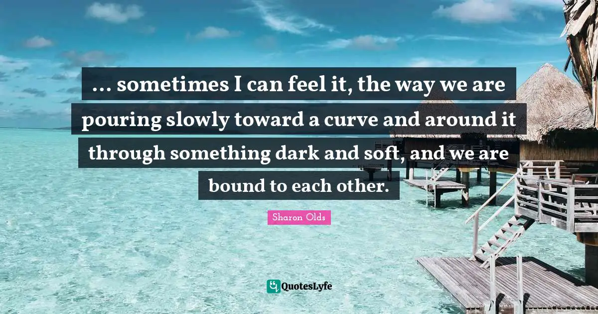 ... sometimes I can feel it, the way we are pouring slowly toward a curve and around it through something dark and soft, and we are bound to each other.