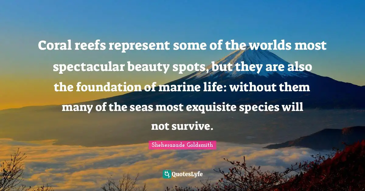 Coral reefs represent some of the worlds most spectacular beauty spots, but they are also the foundation of marine life: without them many of the seas most exquisite species will not survive.