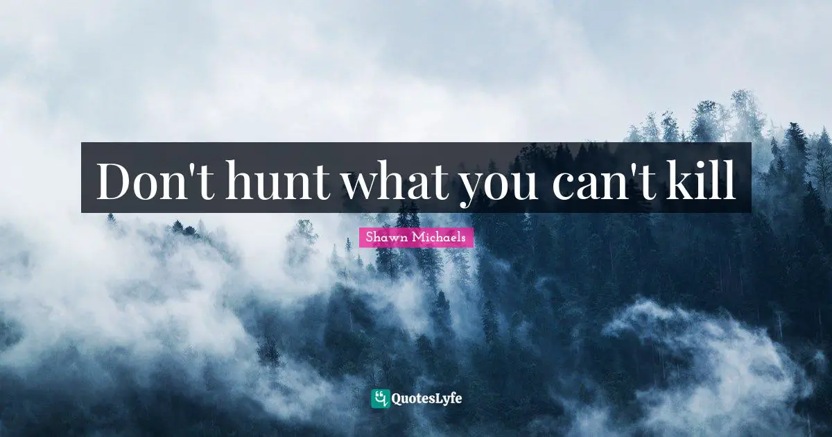 Shawn Michaels Quotes: "Don't hunt what you can't kill"