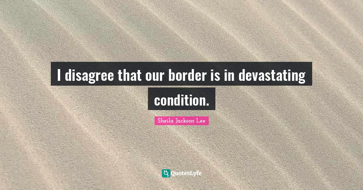 Borders Quotes: "I disagree that our border is in devastating condition."