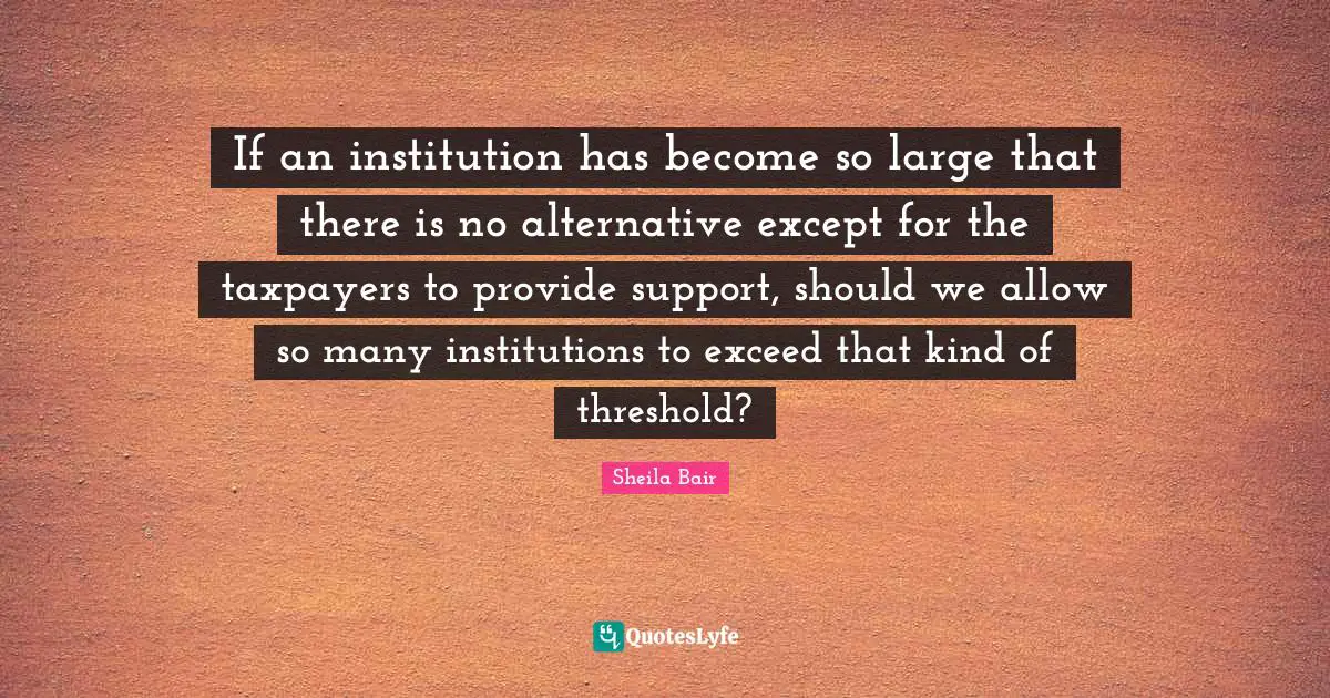 If an institution has become so large that there is no alternative except for the taxpayers to provide support, should we allow so many institutions to exceed that kind of threshold?