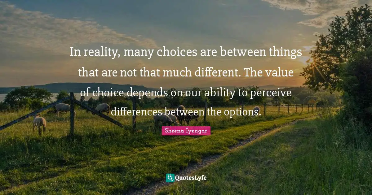 In reality, many choices are between things that are not that much different. The value of choice depends on our ability to perceive differences between the options.