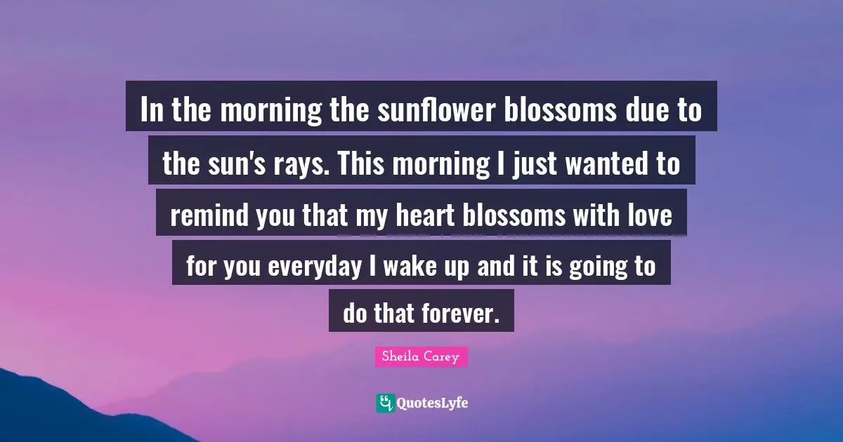 Sheila Carey Quotes: In the morning the sunflower blossoms due to the sun's rays. This morning I just wanted to remind you that my heart blossoms with love for you everyday I wake up and it is going to do that forever.
