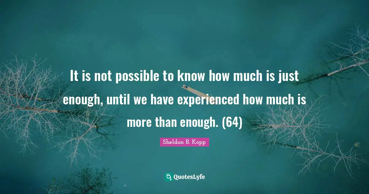 Sheldon B. Kopp Quotes: "It is not possible to know how much is just enough, until we have experienced how much is more than enough. (64)"