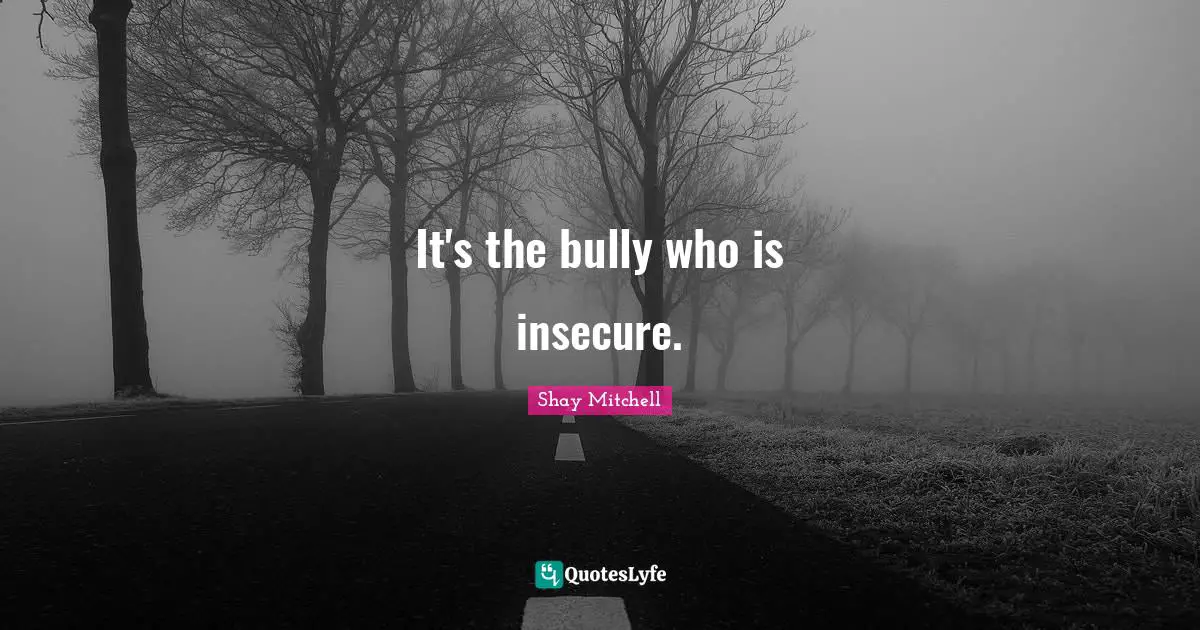 Shay Mitchell Quotes: "It's the bully who is insecure."