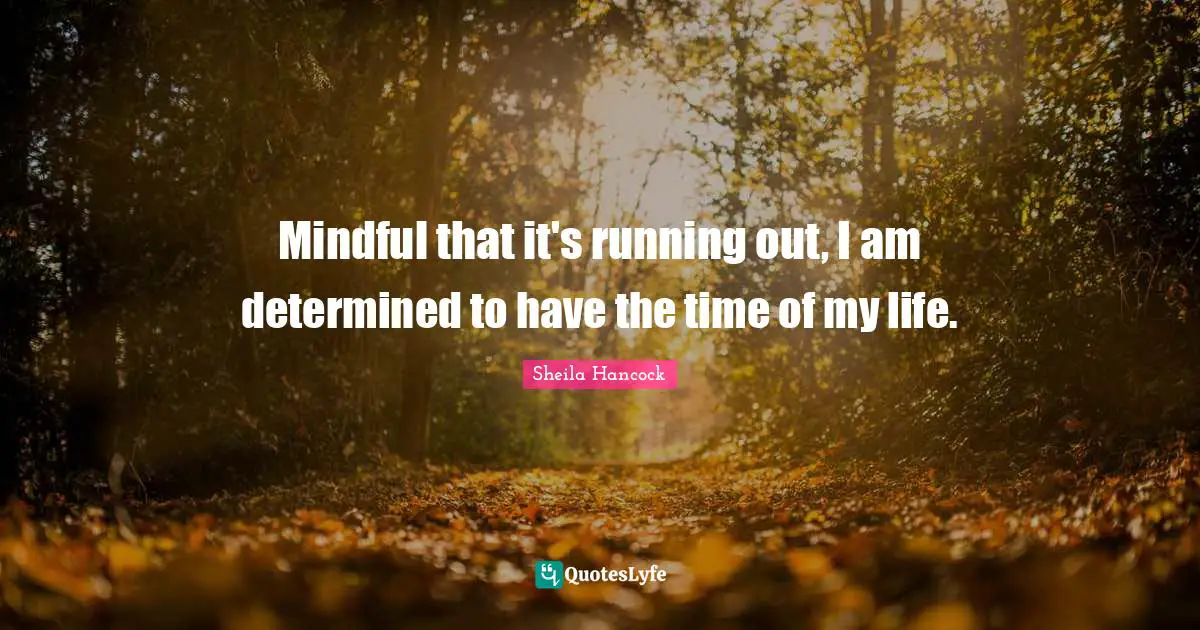 Time Of My Life Quotes: "Mindful that it's running out, I am determined to have the time of my life."