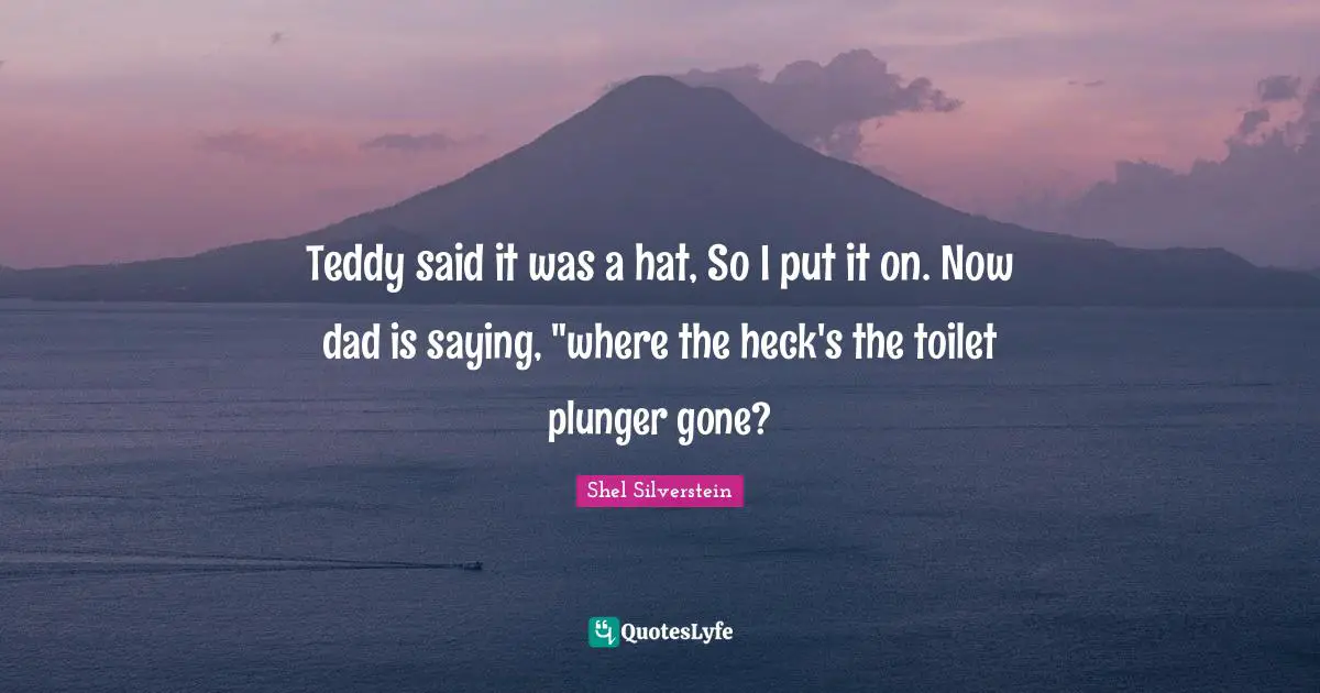 Teddy said it was a hat, So I put it on. Now dad is saying, "where the heck's the toilet plunger gone?