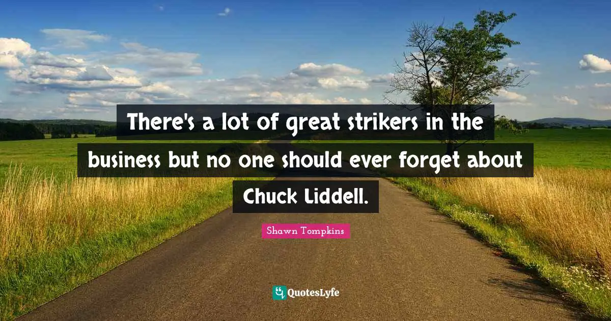 There's a lot of great strikers in the business but no one should ever forget about Chuck Liddell.