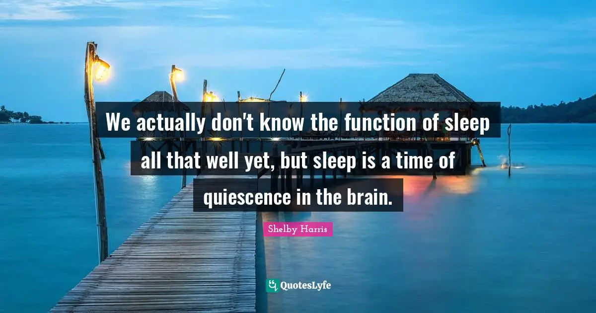 We actually don't know the function of sleep all that well yet, but sleep is a time of quiescence in the brain.
